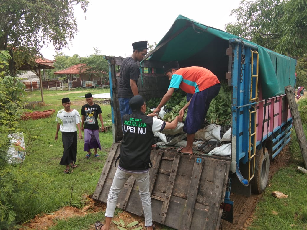 Ribuan bibit pohon diturunkan dari armada. (Foto: Dok. LTNNU Sampang)